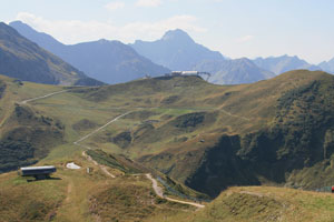 fellhorn